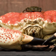 Illustration for article titled This Is Not Fancy Camerawork, Just One Giant Biggest Crustacean